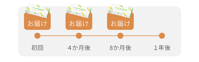 初回 ４か月後 8か月後 １年後