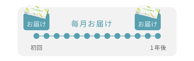 初回 毎月お届け １年後