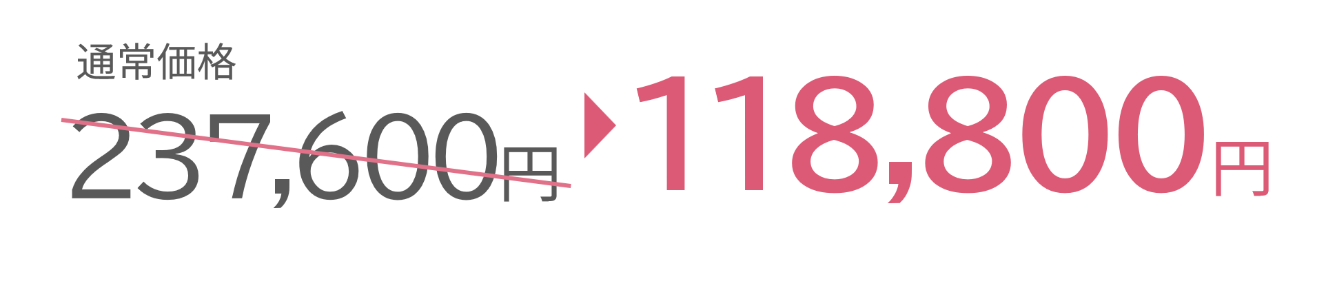 通常価格237,600円 → 118,800円