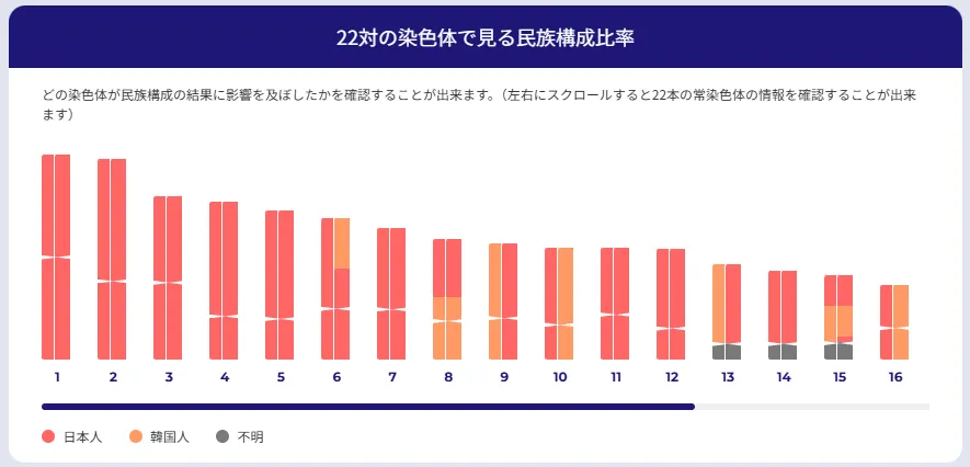22本の染色体 結果画面