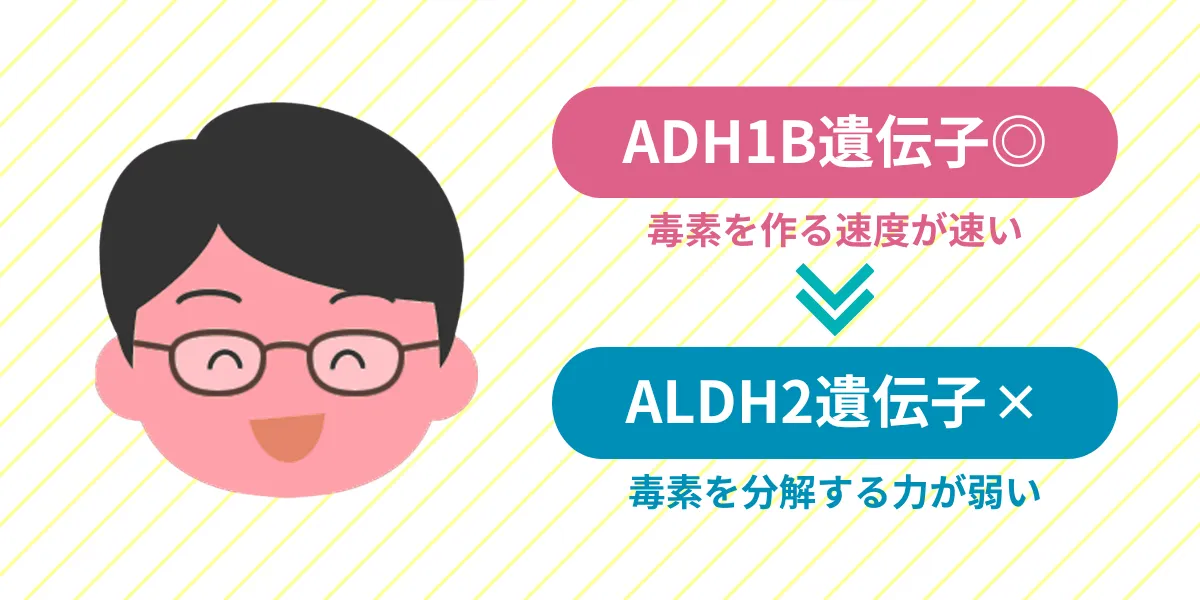 「ADH1B遺伝子によって毒素がすぐ作られるのに、ALDH2遺伝子が弱くて毒素を分解できない」という組み合わせの人は、お酒を飲むとすぐに頭痛や吐き気が起こる可能性