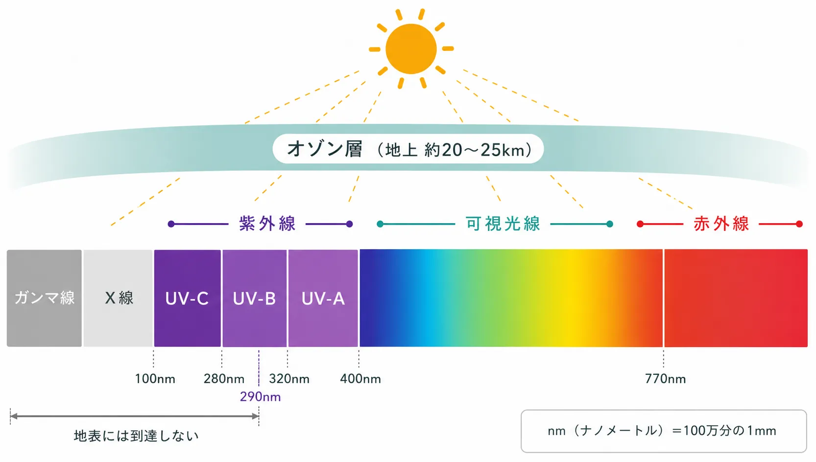 地表に届く紫外線には、主に「UVA（紫外線A波）」と「UVB（紫外線B波）」の2種類があります。