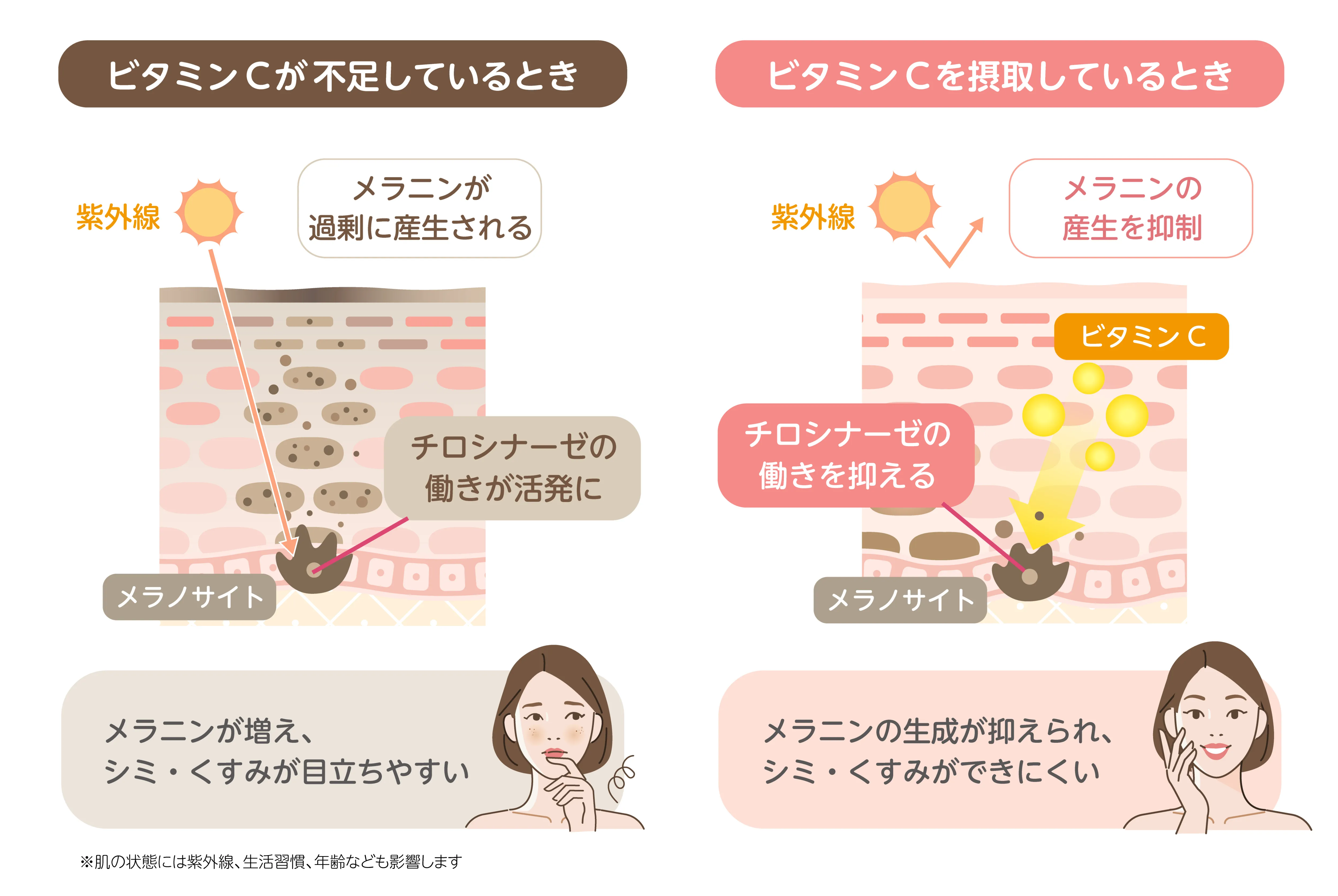 ビタミンC不足とメラニン生成・くすみの関係