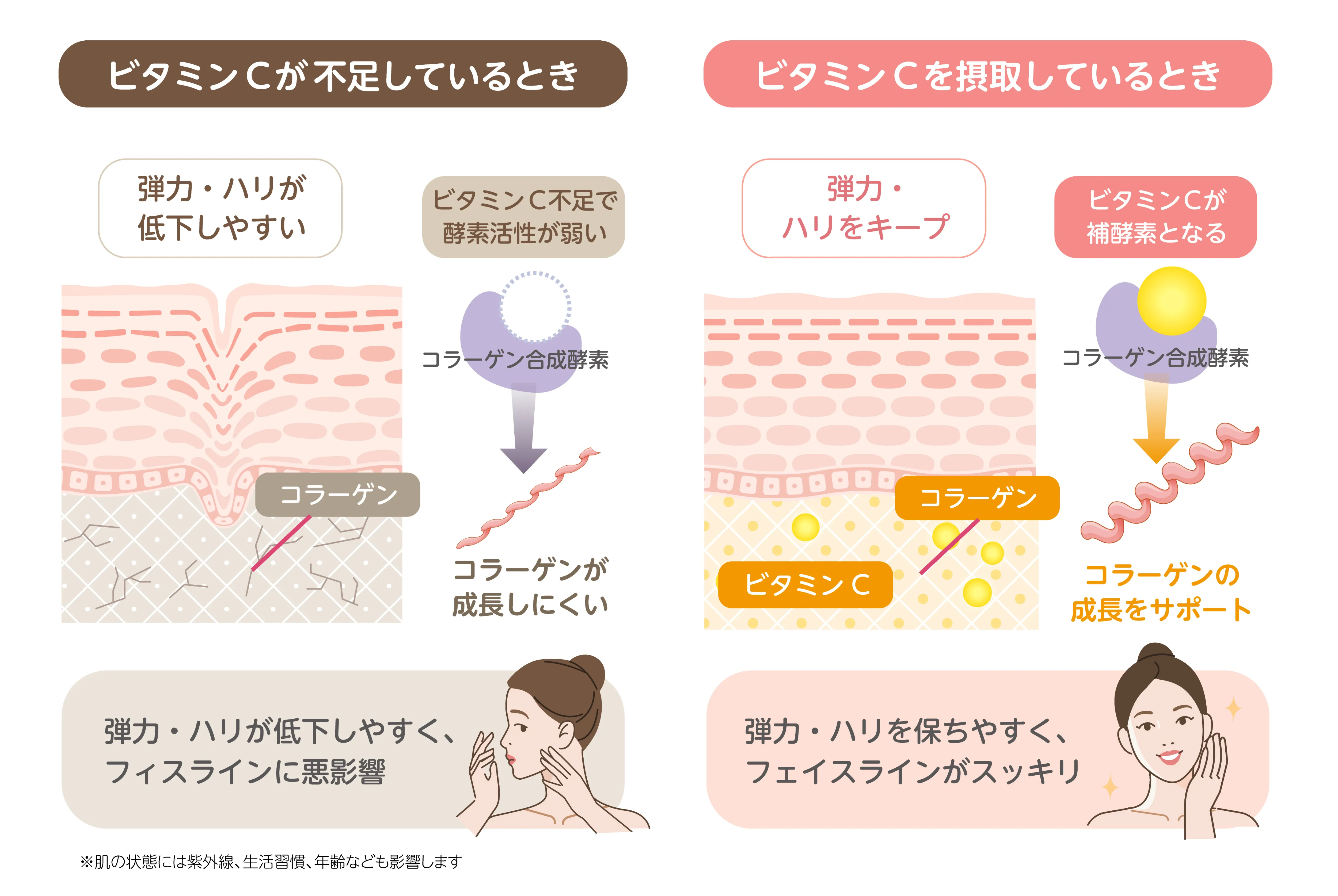 ビタミンC不足とコラーゲン生成・ハリ不足の関係