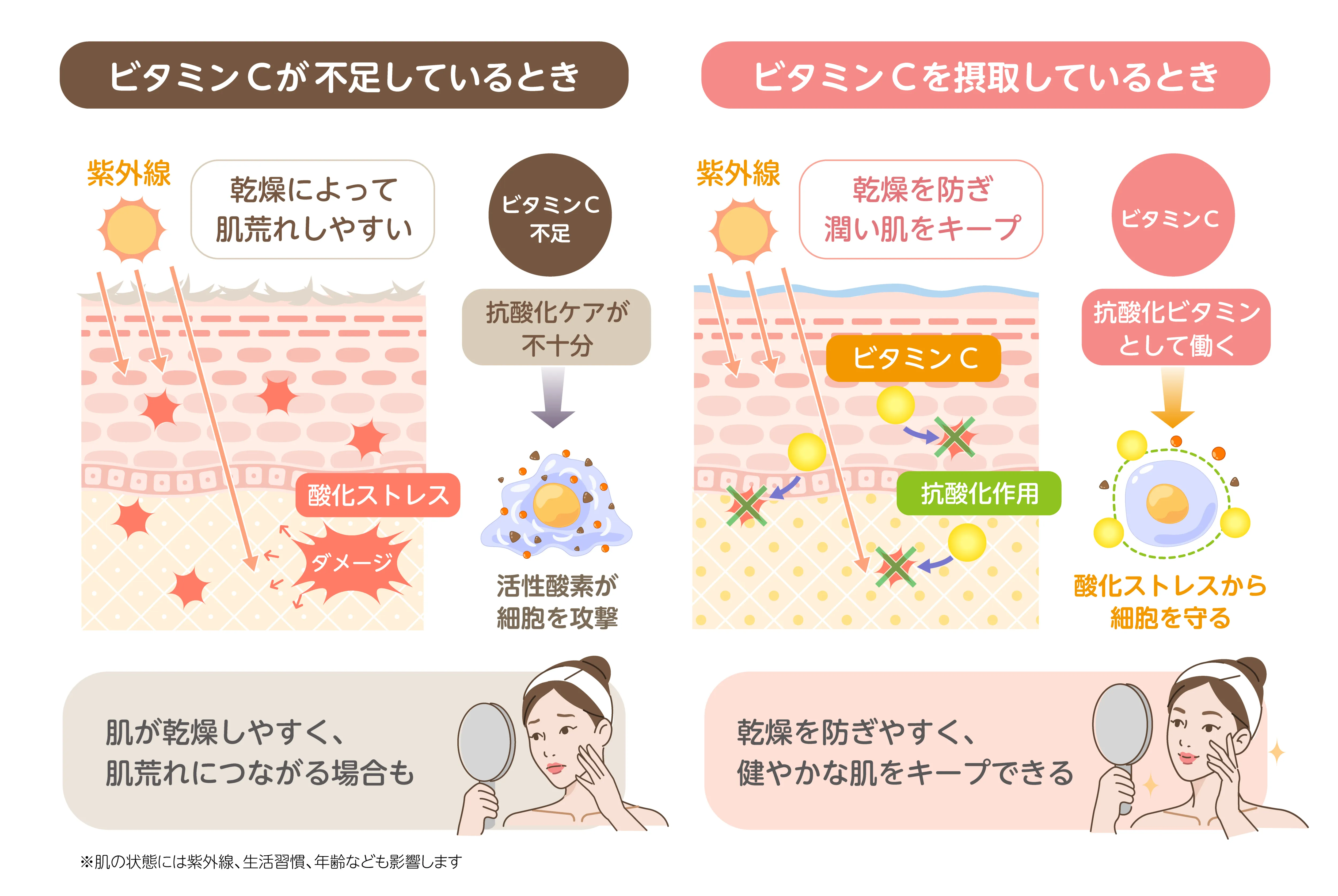ビタミンC不足と紫外線ダメージ・酸化ストレスの関係