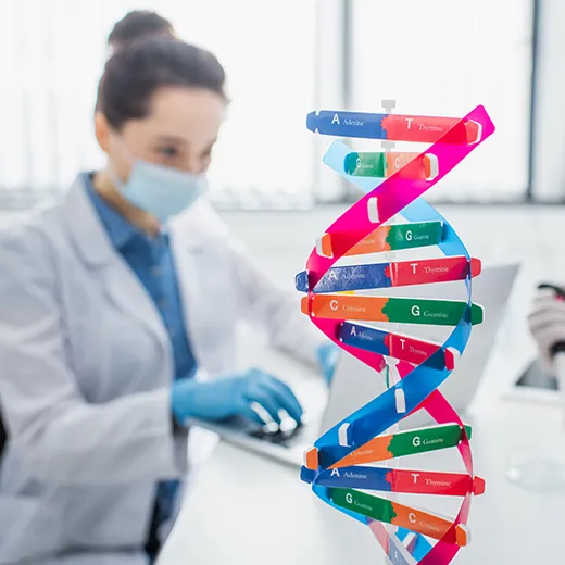 「遺伝子」と「DNA」ってどう違うの？ 0.1％の違いがその人の特徴を決める