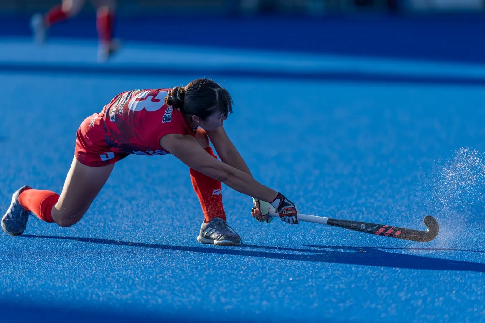 写真：星 希巳加