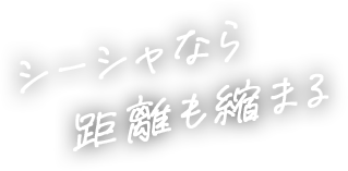 シーシャなら距離も縮まる
