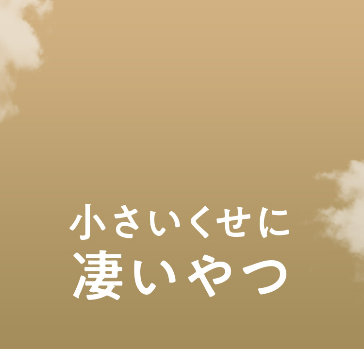 小さいくせに凄いやつ
