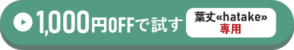 葉丈≪hatake≫専用1,000円OFFで試す方はこちらをクリック！