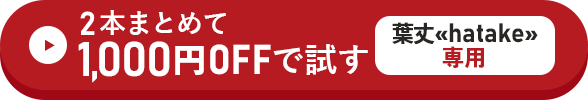 2本まとめて1,000円OFFで試す方はこちらをクリック！