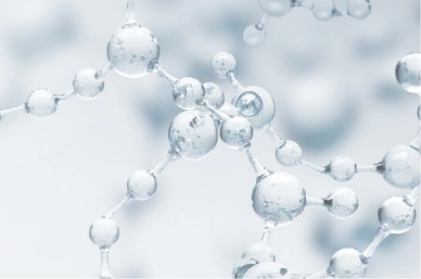 Human stem cells