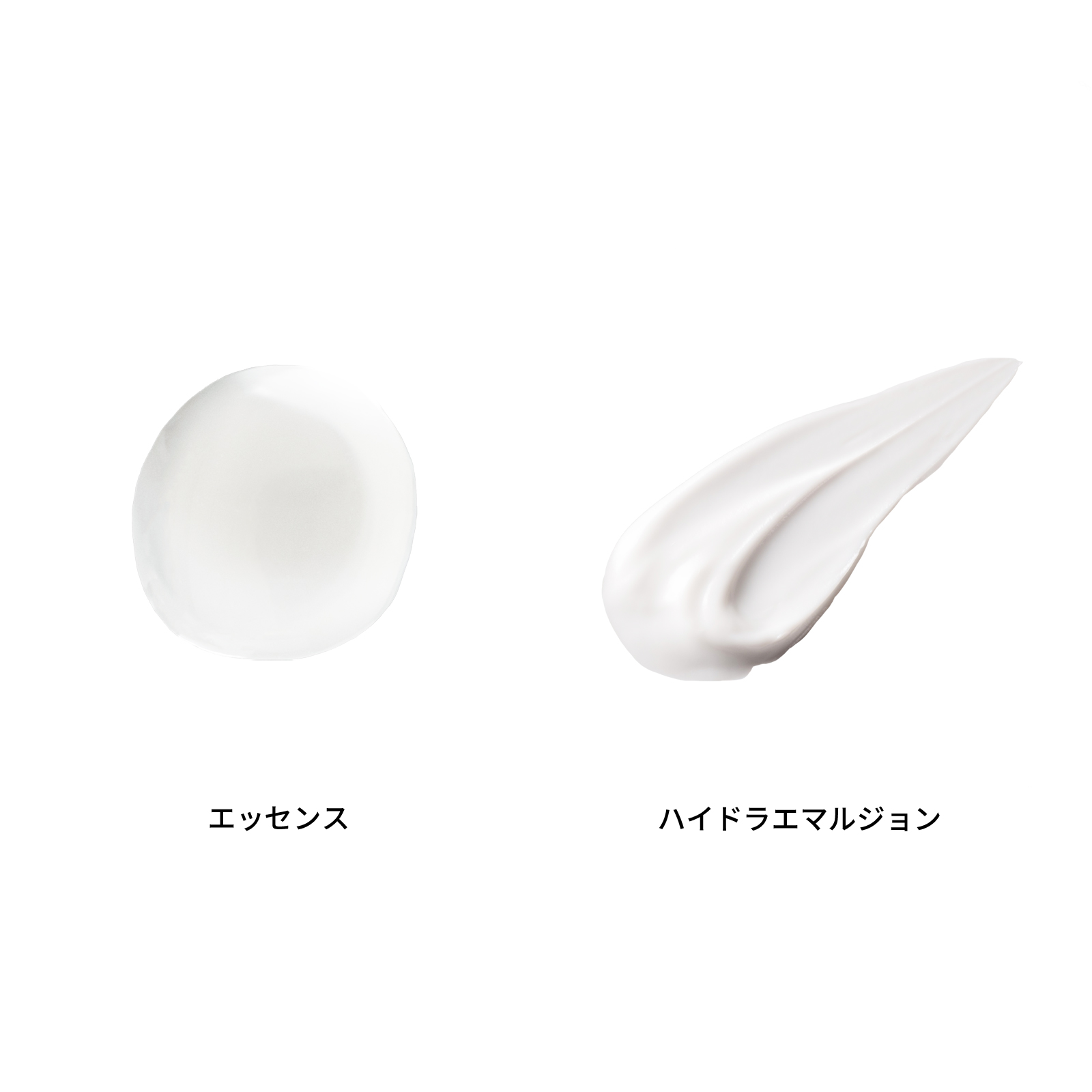 ベーシックシリーズ4点セット