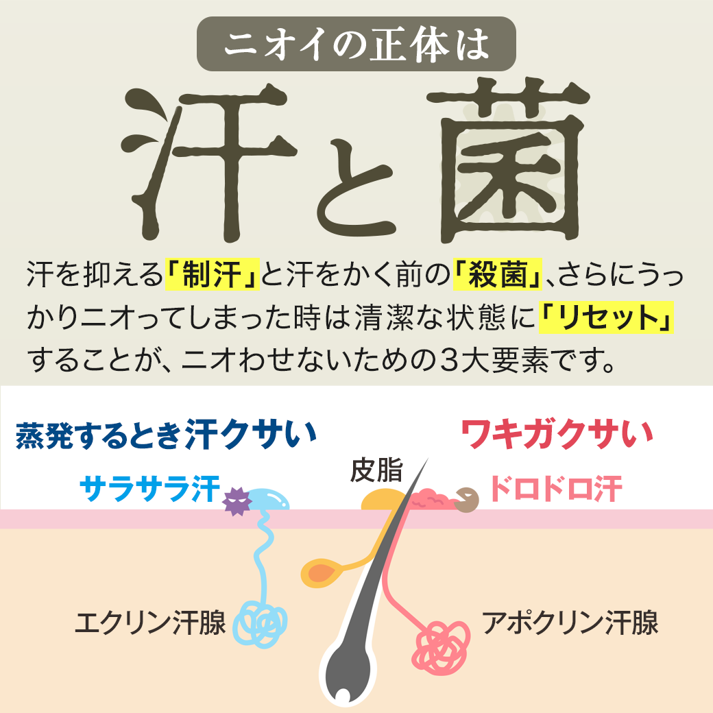CLEANEOクリーム1本(30g)