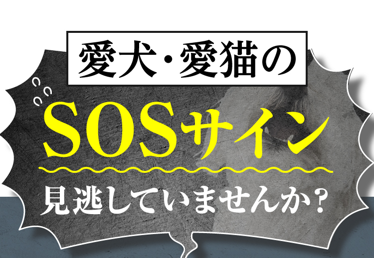 愛犬・愛猫のSOSサイン見逃していませんか？