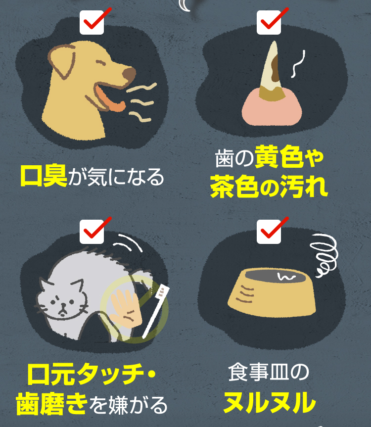 口臭が気になる 歯の黄色や茶色の汚れ 口元タッチ・歯磨きを嫌がる 食事皿のヌルヌル