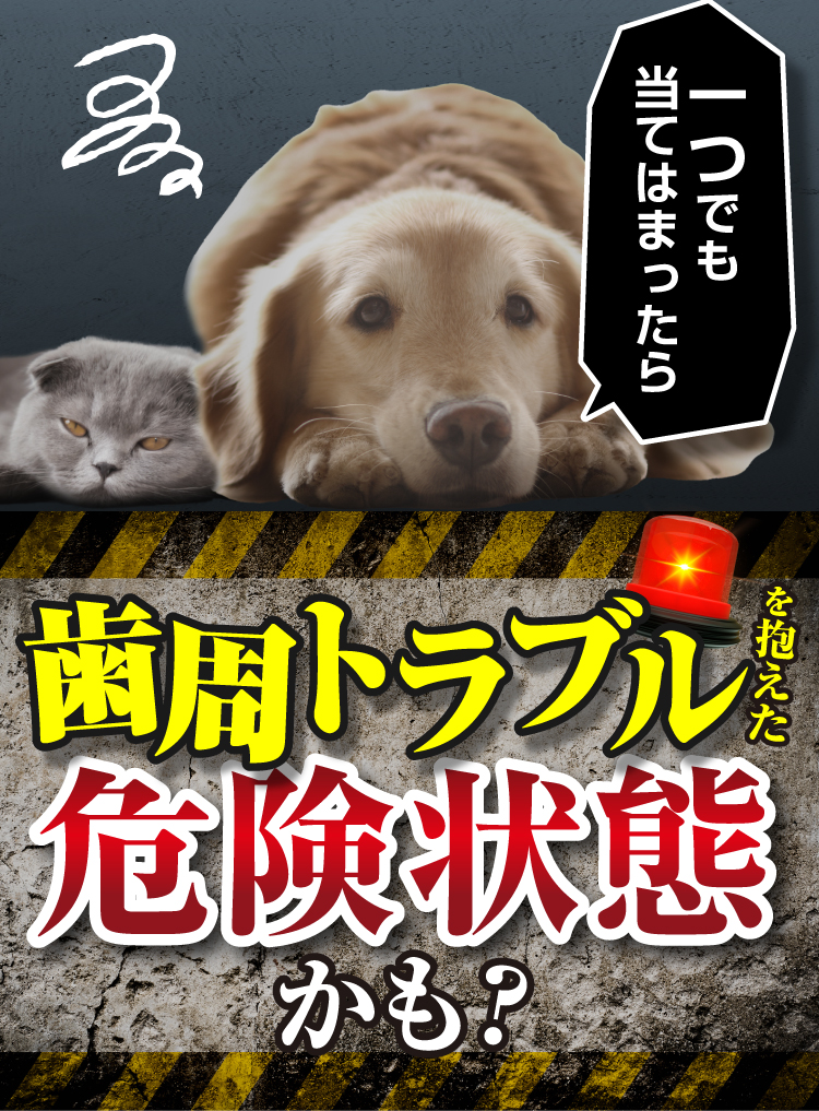 一つでも当てはまったら歯周トラブルを抱えた危険状態かも？