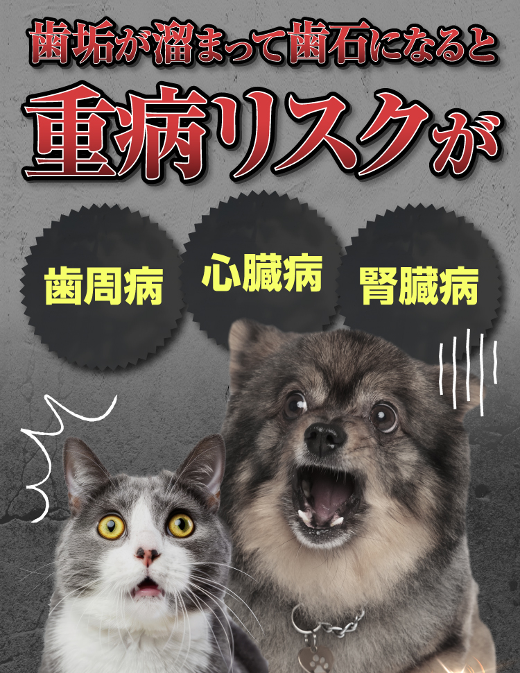 歯垢が溜まって歯石になると重病リスクが