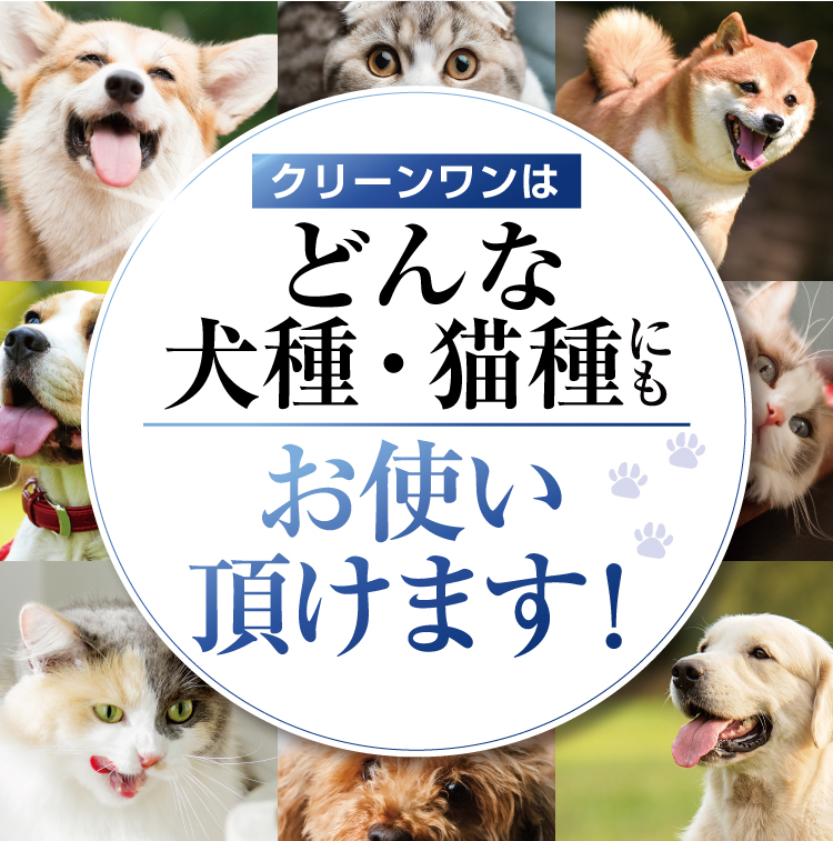 クリーンワンはどんな犬種にもお使い頂けます！