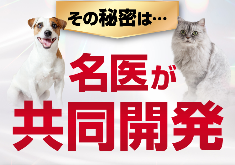 その秘密は…名医が共同開発