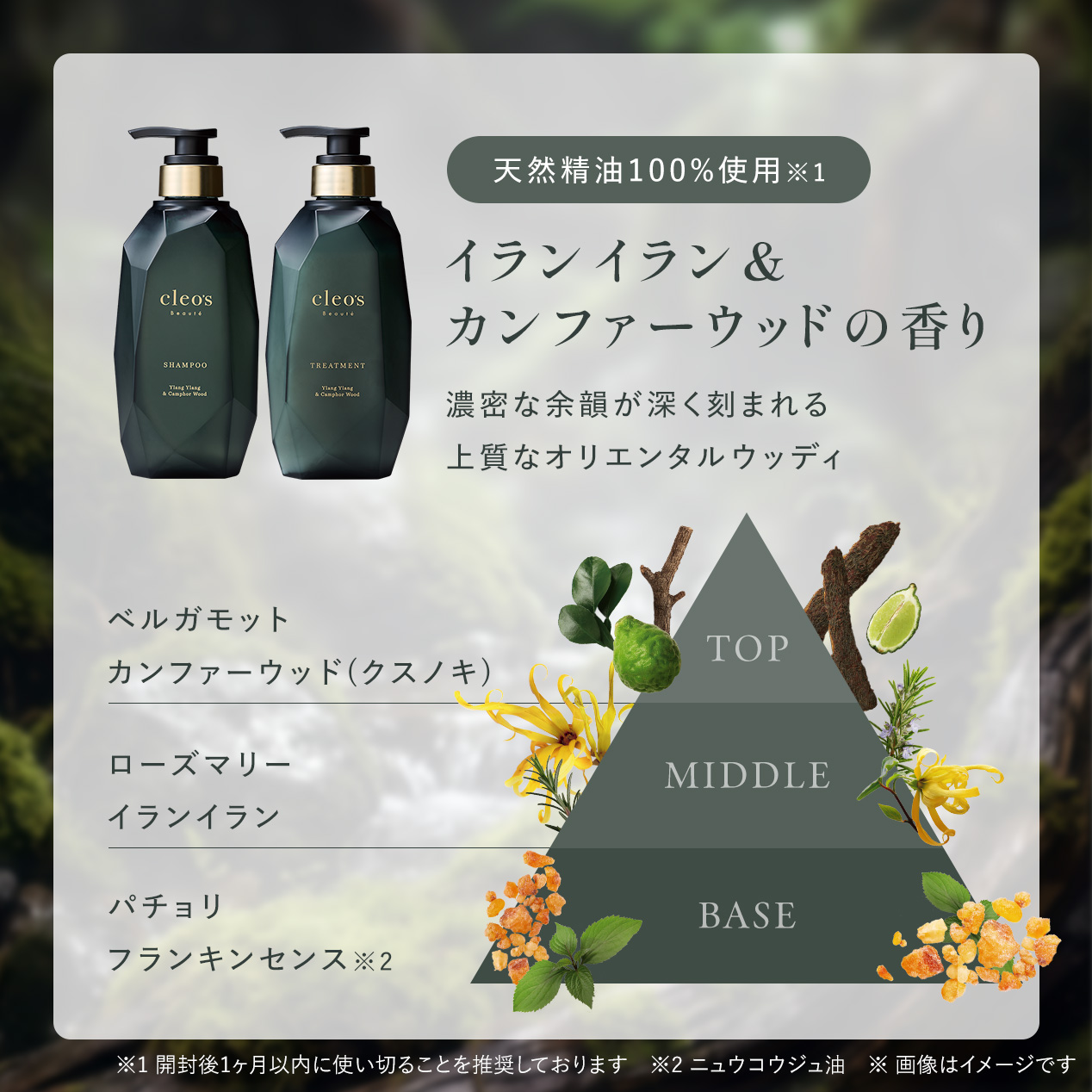 エクストラモイストシャンプー＆リペアトリートメント　イランイラン&カンファーウッド