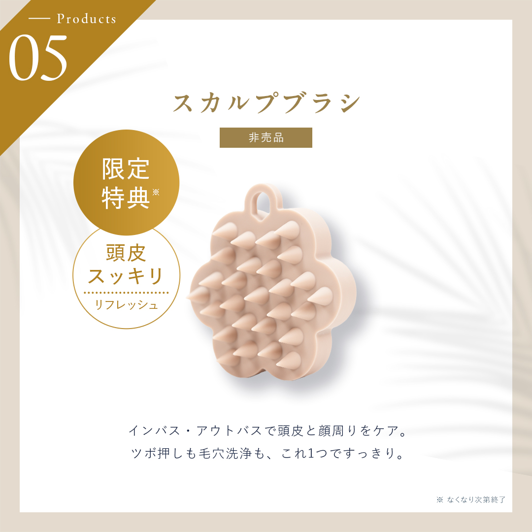 夏ダメージレススペシャル5点セット　イランイラン&カンファーウッド