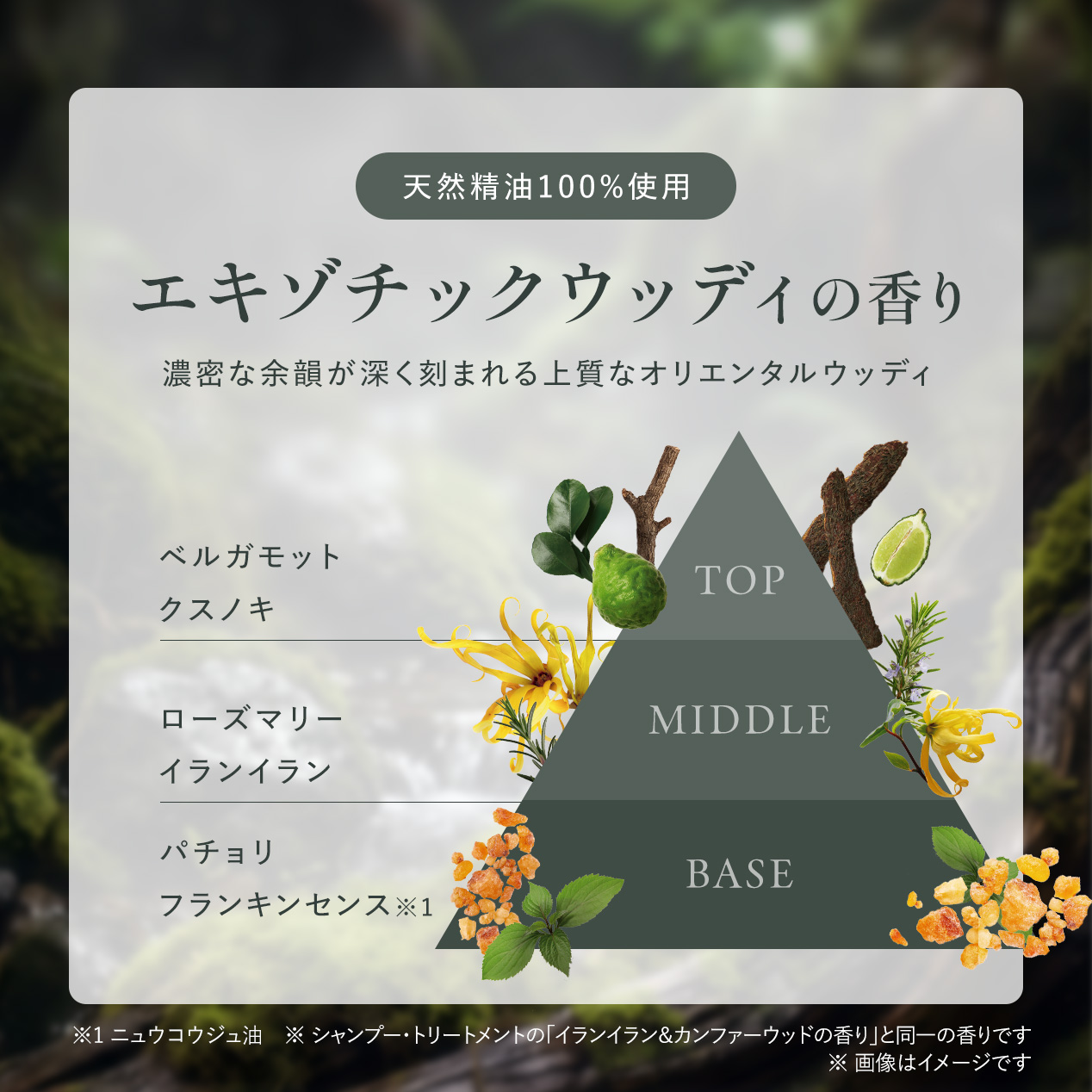 【ミニオイル特典】トラベルセット