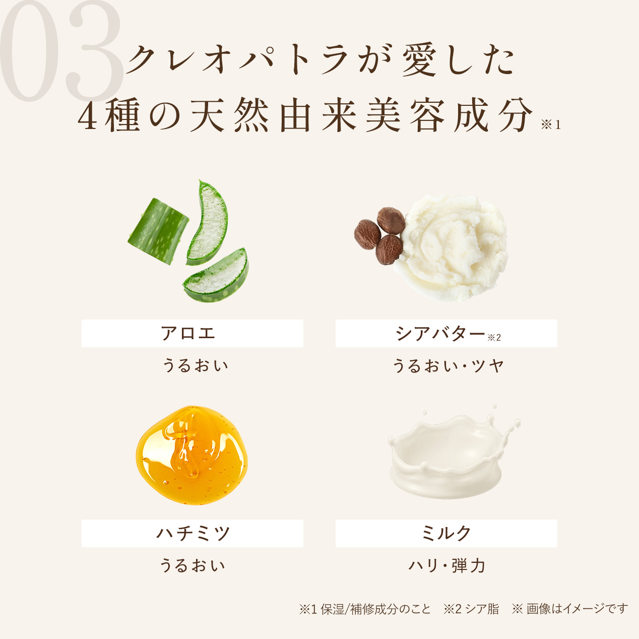 【定期会員様限定】ディープモイスチャーヘアミルク