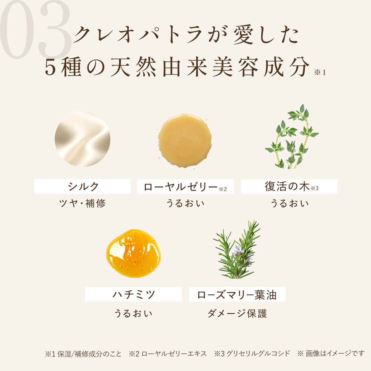 【定期会員様限定】ブースターヘアセラム