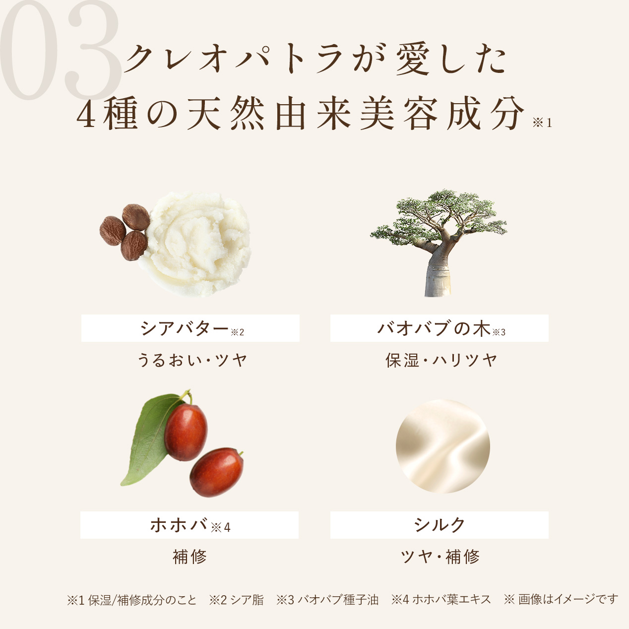 【定期会員様限定】バランシングキープヘアスティック