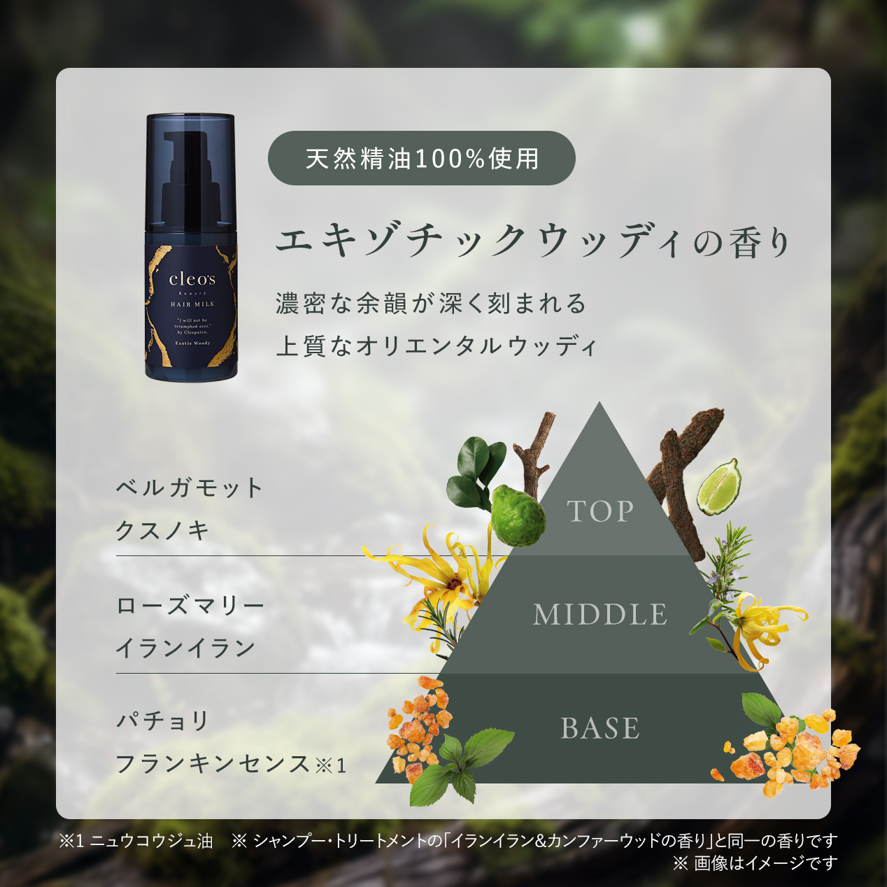 【定期会員様限定】ディープモイスチャーヘアミルク