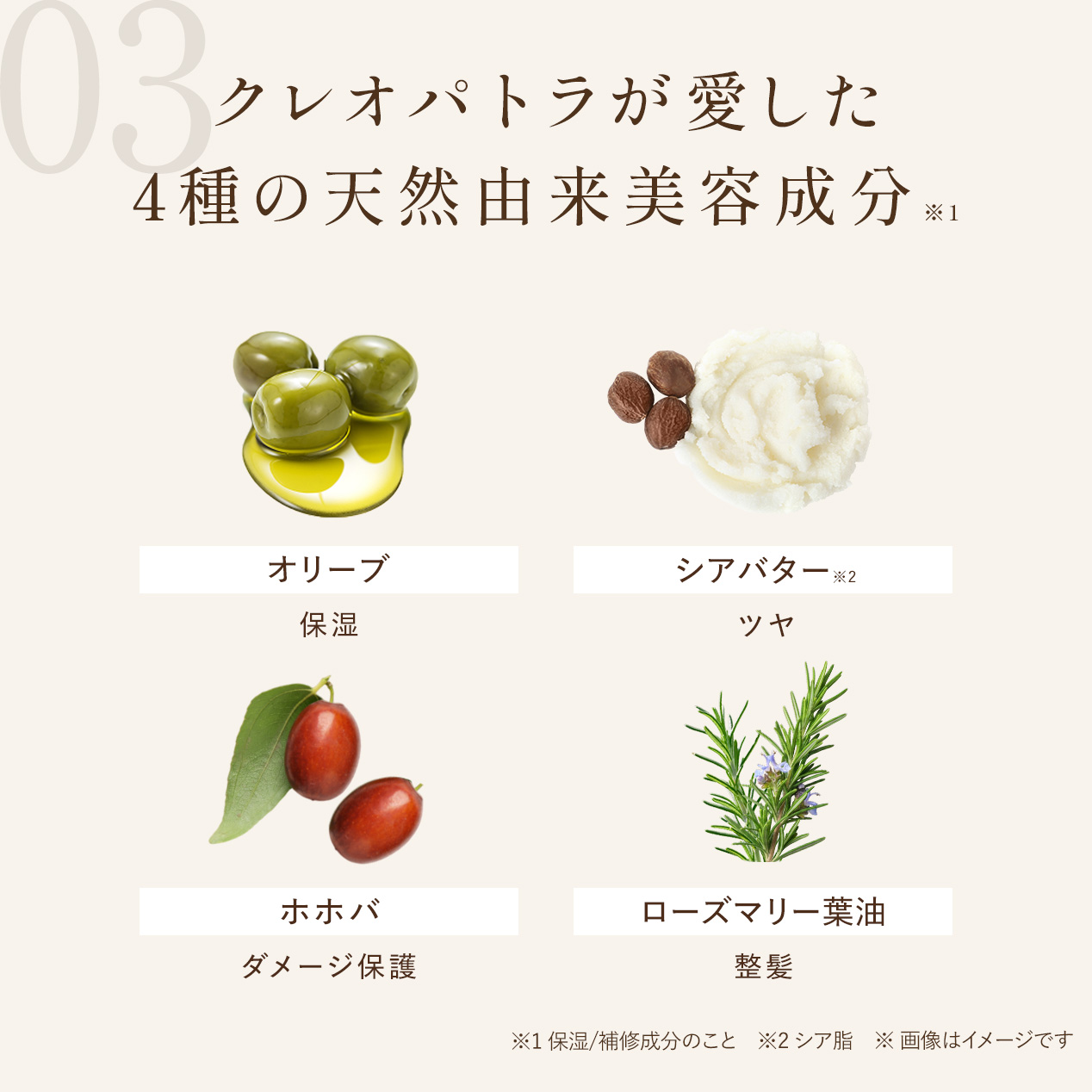 【定期会員様限定】マルチダメージリペアオイル