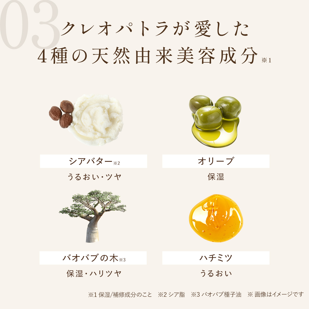 【定期会員様限定】ヒアヴェール　ヘア&ボディスクラブ