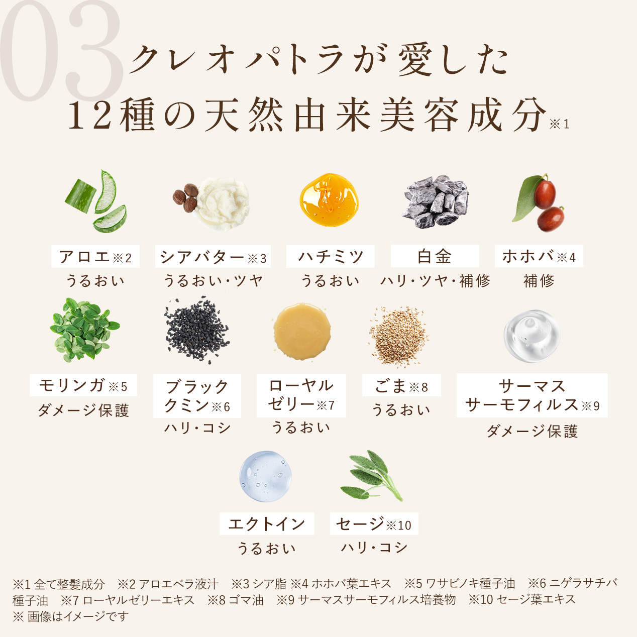 エクストラモイストシャンプー＆リペアトリートメント　イランイラン&カンファーウッド