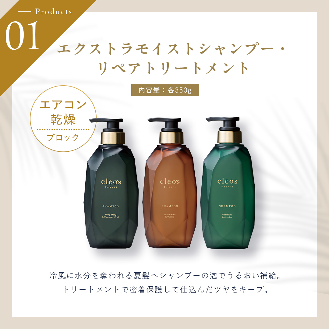 夏ダメージレススペシャル5点セット　イランイラン&カンファーウッド