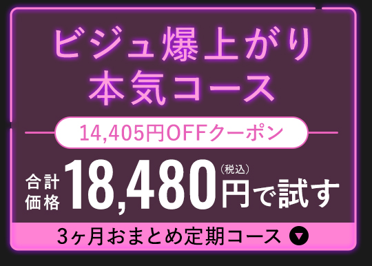 ビジュ爆上がり本気コース 合計価格18,480円で試す