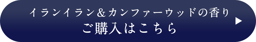 今すぐ購入する