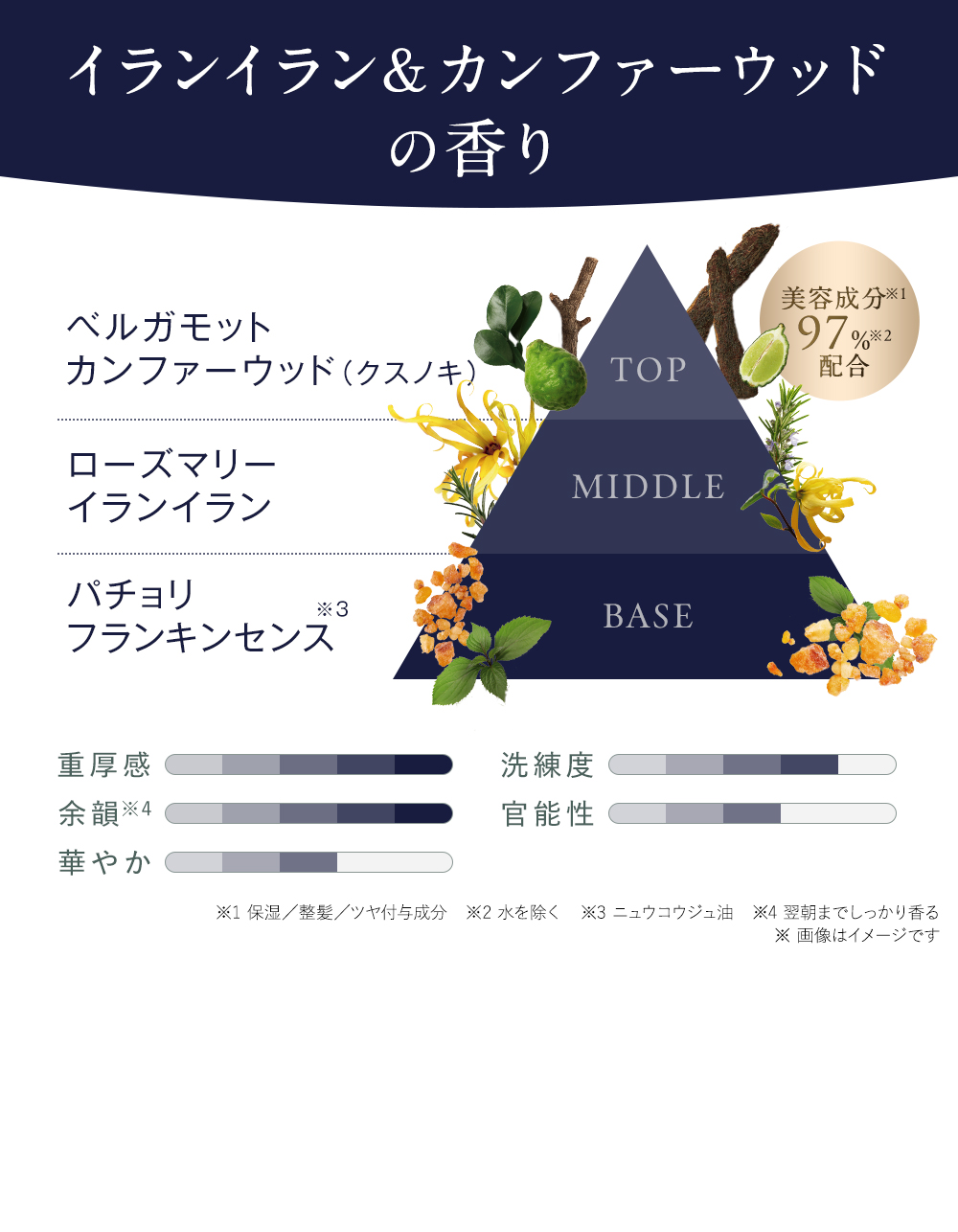 香りの詳細