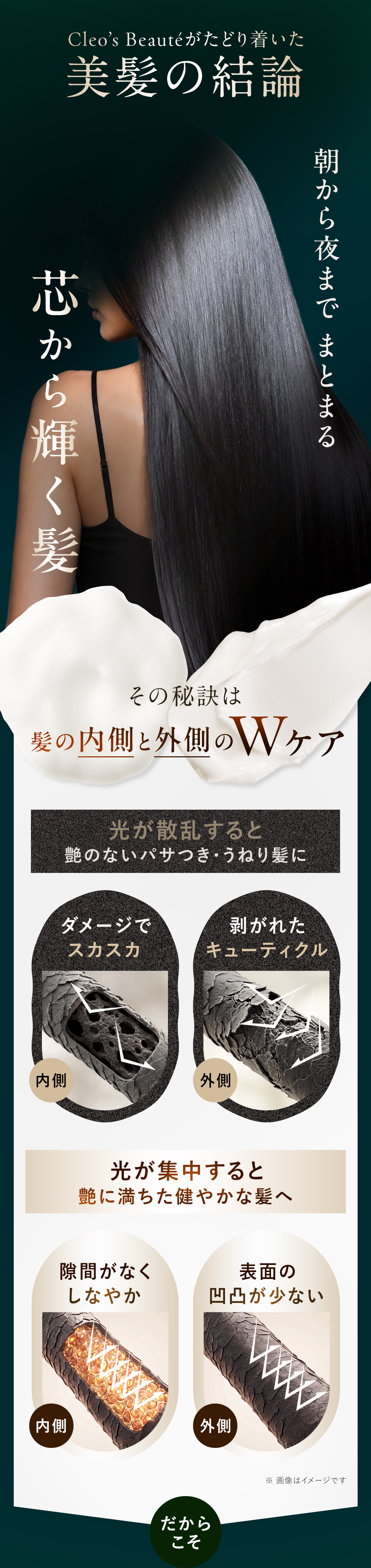 美髪の結論