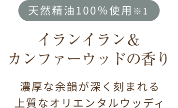 左テキスト