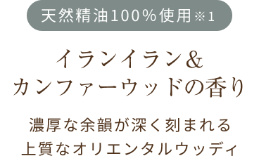 左テキスト