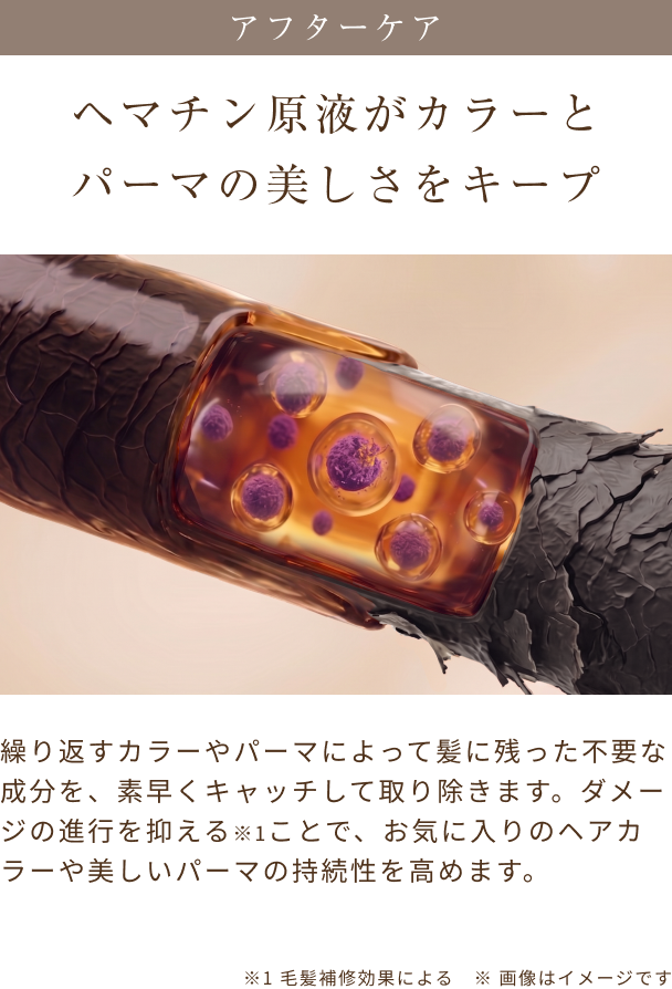 ブースターヘアセラム 3セット | Cleo's Beauté(クレオズボーテ) ブースターヘアセラム 3セット | Cleo's Beauté(クレオズボーテ)