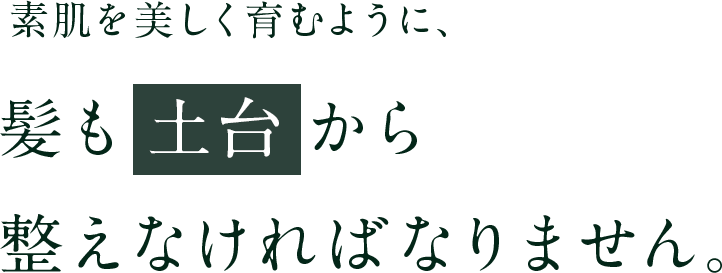 髪も土台から整えなければいけません。