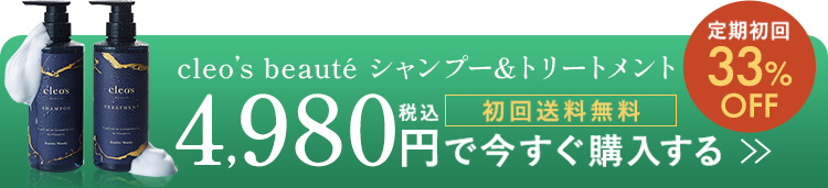 cleo's beaute シャンプー＆トリートメント　初回送料無料　税込4980円で今すぐ購入する