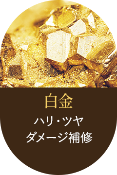 金　ハリ・ツヤ　ダメージ補修
