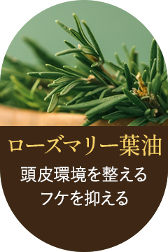 ローズマリー葉油　頭皮環境を整える　フケを抑える