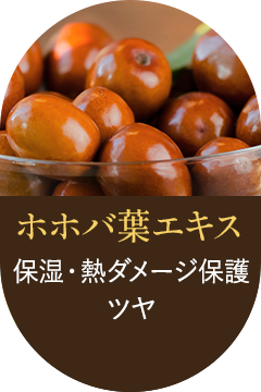 ホホバ　保湿・熱ダメージ保護　ツヤ