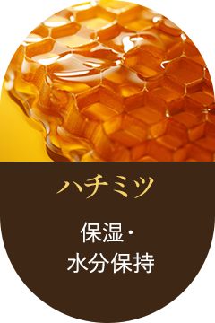 ハチミツ　保湿・水分保持