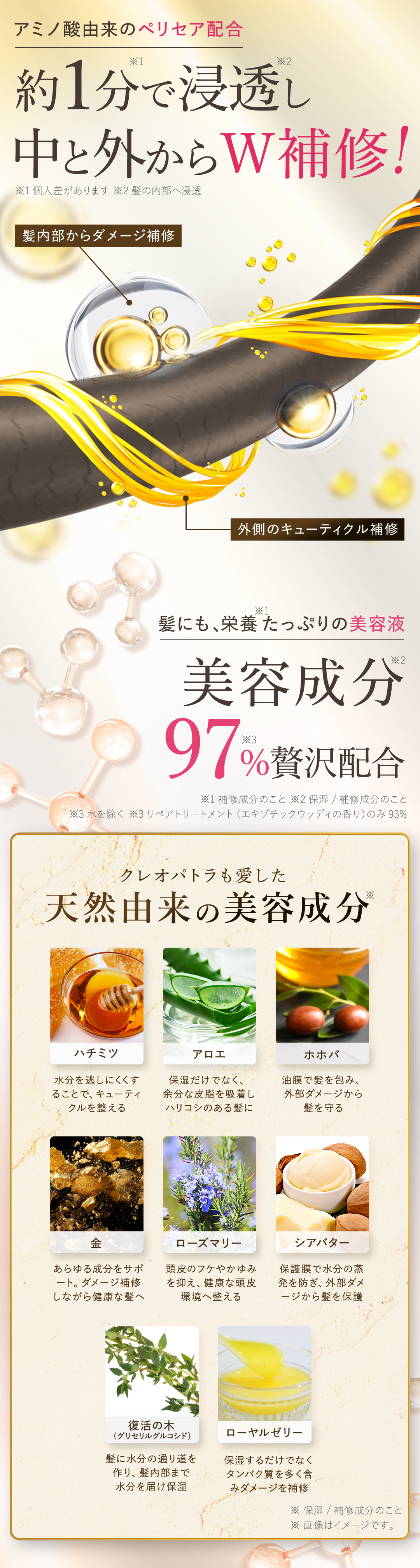 HEAT REPAIR COAT 01 髪の主成分タンパク質を補給 ダメージを補修 ケラチンとアミノ酸が髪内部まで浸透 タンパク質不足の髪と満たされた髪の比較画像