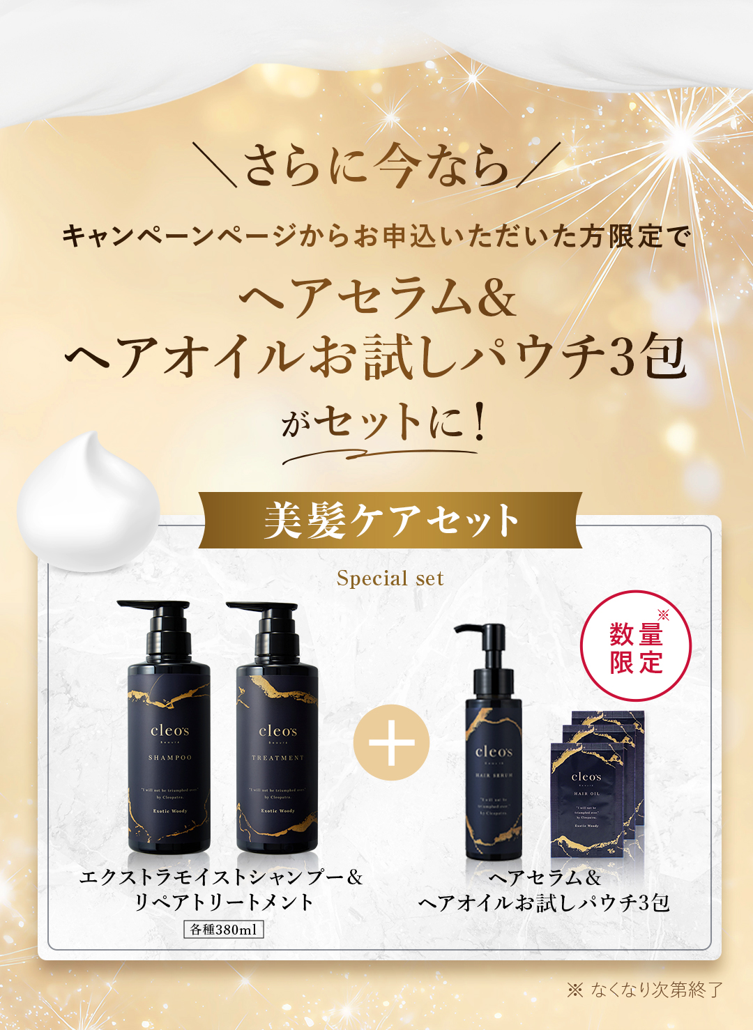 さらに今ならヘアミルク＆スカルプブラシをプレゼント 美髪ケアセット エクストラモイストシャンプー＆トリートメントとヘアミルク＋スカルプブラシ 数量限定